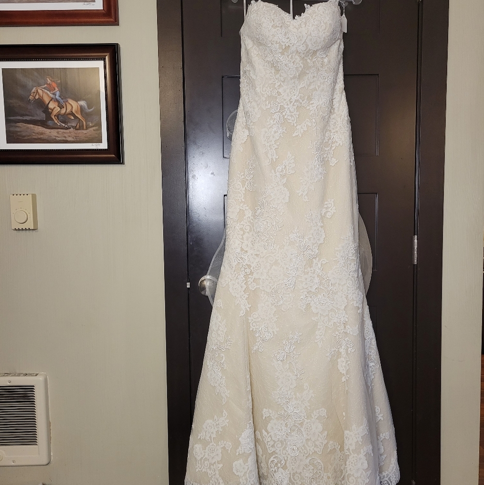 Lace wedding dress in ivory
